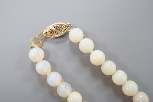 A modern single strand white opal bead necklace, with 585 yellow metal clasp, 44cm.